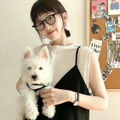 养鸭人家 海报