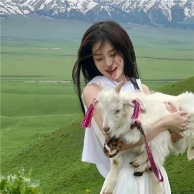 炮破情巢 海报